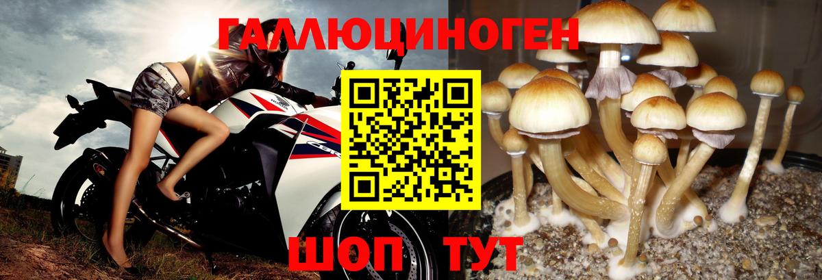 Галлюциногенные грибы ЛСД  Вход с VPN  наркота  Людиново 